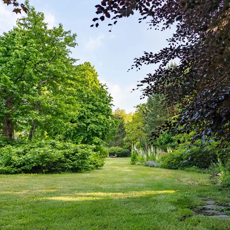 Parc verdoyant avec arbres et pelouse