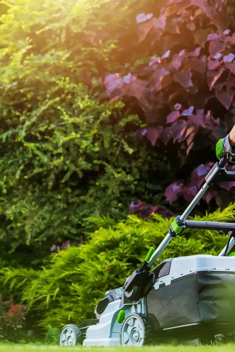 Tondeuse à gazon dans un jardin verdoyant