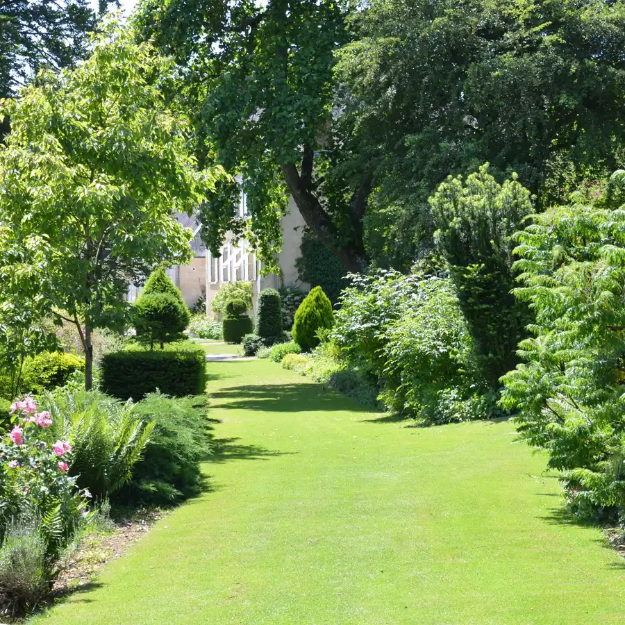 Jardin verdoyant avec allée